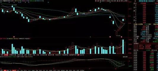 300017网宿主营业务蓄势待发 计算机软硬件及配件技术开发引领新增长